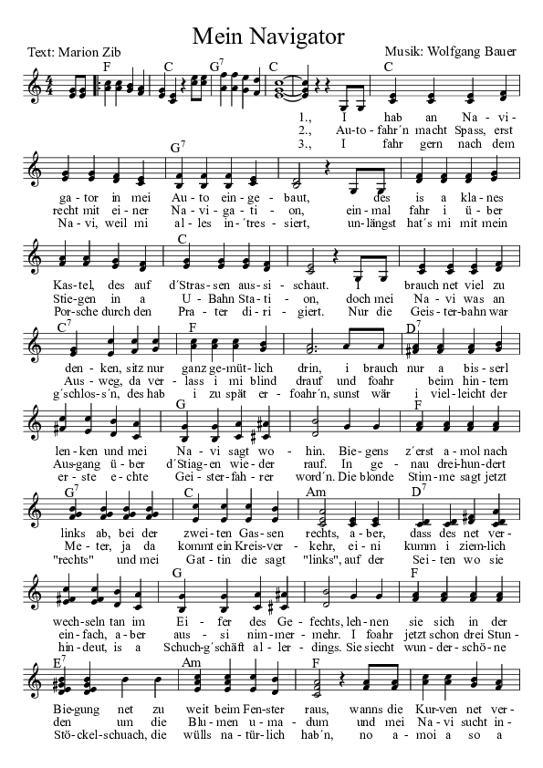 Mein Navigator kurze Version.pdf